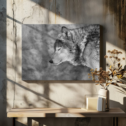 A close-up, black and white photograph of a wolf in profile with its eyes closed, as snow falls heavily around it. The image has a serene and peaceful quality and is enclosed in a silver frame. Artwork