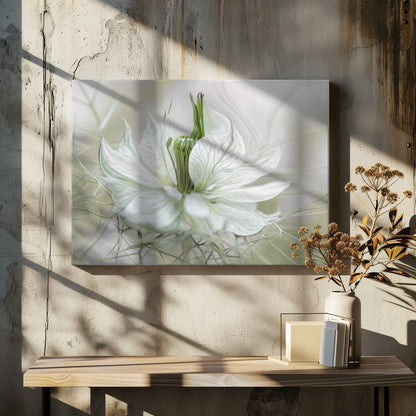 A close-up, artistic photograph of a delicate white Nigella flower, showcasing its intricate veined petals and green pistil against a soft, ethereal background, all within a silver frame. Print