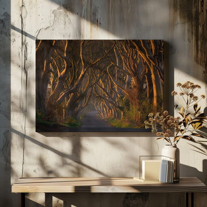 A framed photograph of the Dark Hedges in Northern Ireland, where gnarled beech trees form a natural tunnel over a country road, their branches glowing in the golden light of sunrise or sunset. Print