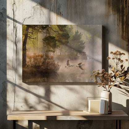 Two geese flying low over a misty forest lake at dawn, a serene nature photograph.