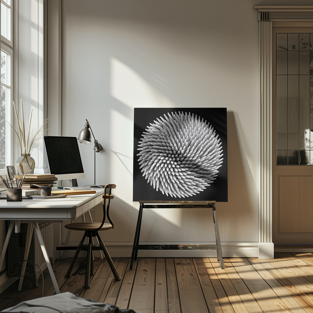 A framed, black and white, top-down macro photograph of a dense, circular bundle of wooden toothpicks. The points of the toothpicks radiate outwards in a swirling, spiral pattern, creating a highly textured and spiky sphere against a solid black background. Artwork