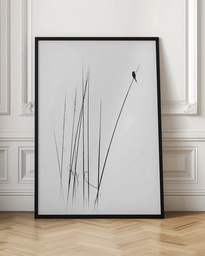 A minimalist black and white photograph of a bird's silhouette perched on top of a long, thin reed against a plain white background. Several other reeds stand in the foreground, creating a simple and serene composition. Wall Art
