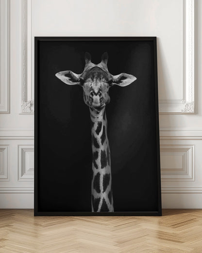A striking black and white portrait of a giraffe against a solid black background. The giraffe is looking directly forward with a comical expression, its left cheek puffed out as if chewing. Decor