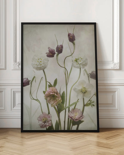 A vintage-style botanical illustration of various flowers against a textured, off-white background. The composition includes purple checkered fritillaries on long, winding stems, fluffy white drumstick primulas, and delicate pink and white hellebores. Poster