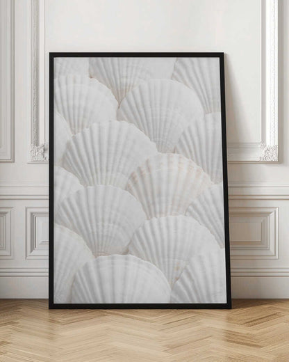 Shells_3 - Poster / Art Print