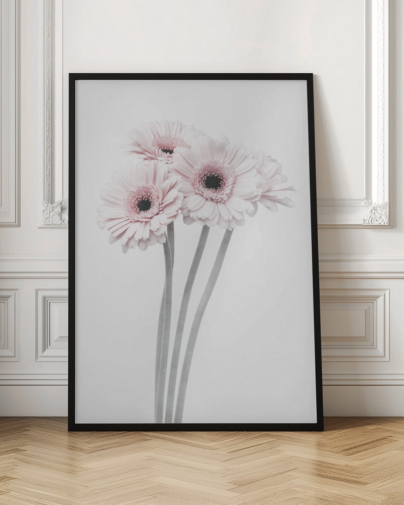 Pink Flowers - Poster / Art Print