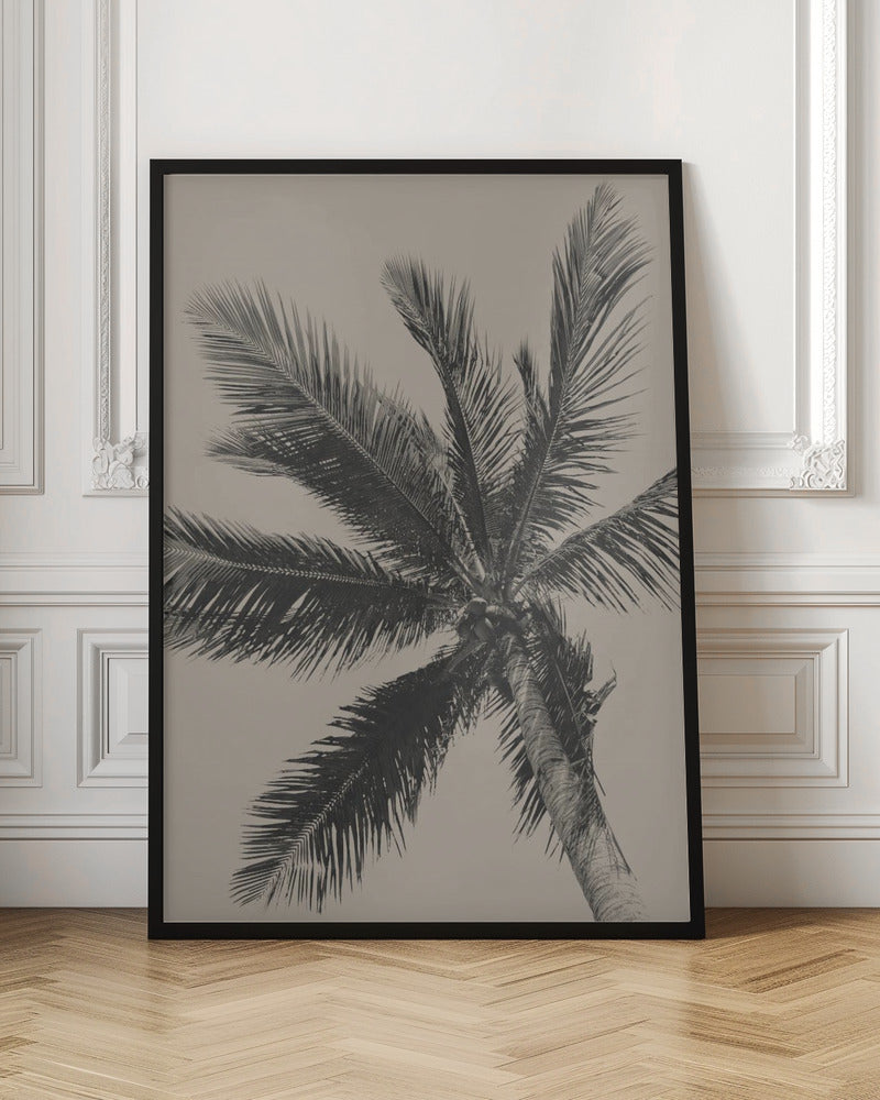 Palm Tree - Poster / Art Print