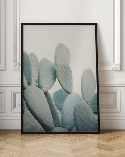A close-up photograph of pale, dusty green prickly pear cactus pads against a bright, off-white background, presented in a minimalist style with a thin black frame. Artwork