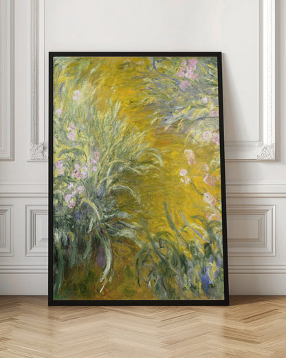 An Impressionist painting by Claude Monet of a sunlit garden, possibly Giverny. The canvas is filled with energetic brushstrokes depicting tall green leaves and soft pink irises against a vibrant, almost abstract background of golden yellow. Print