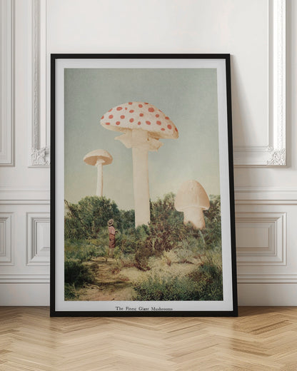 A vintage-style collage depicting a surreal landscape where a small person stands in a green, bushy field dwarfed by three enormous mushrooms, one of which is a red and white spotted toadstool. Wall Art