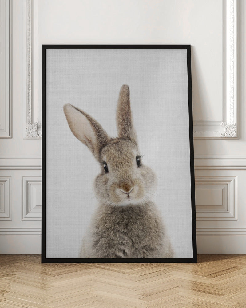 Peekaboo Bunny - Poster / Art Print