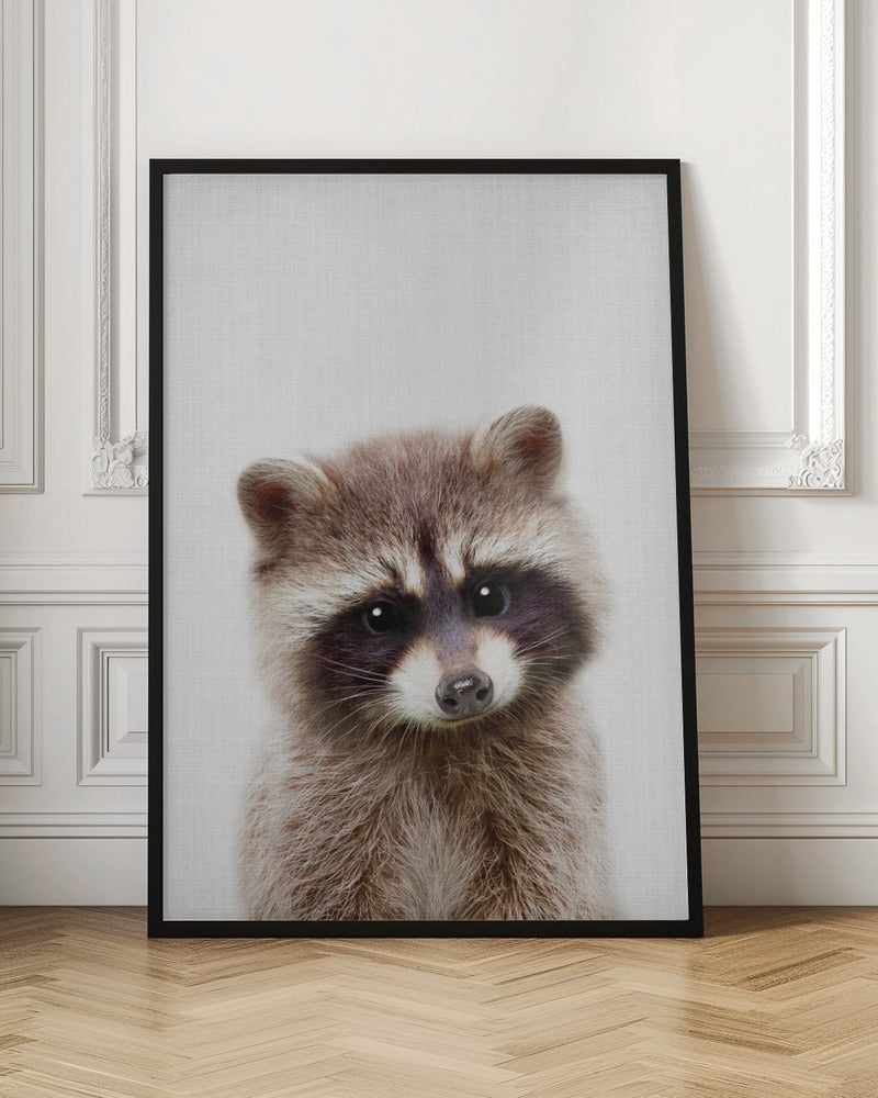 Peekaboo Raccoon - Poster / Art Print