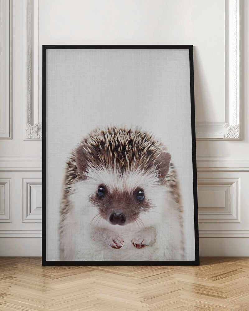 Peekaboo Hedgehog - Poster / Art Print