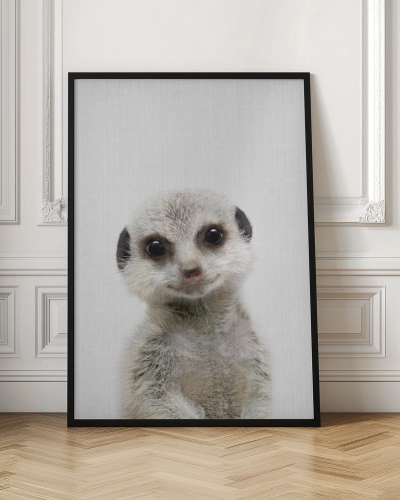 Peekaboo Baby Meerkat - Poster / Art Print