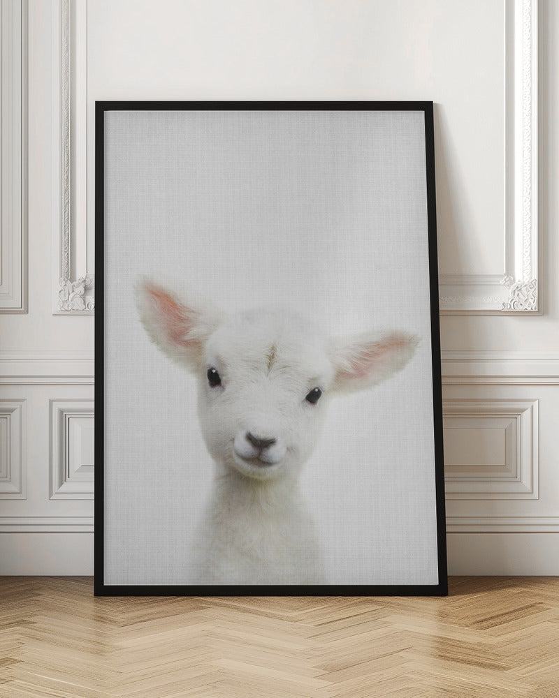 Peekaboo Baby Sheep - Poster / Art Print