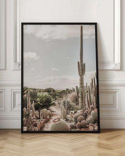 A vertical photograph of a dense cactus garden under a pale, partly cloudy sky. A tall saguaro cactus dominates the right side of the frame, while a dirt path winds through various species of cacti, including barrel cacti in the foreground. The image has a soft, muted, and slightly vintage color palette. Decor