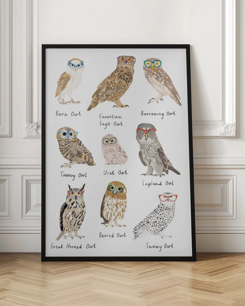 Owls In Glasses Print - Poster / Art Print