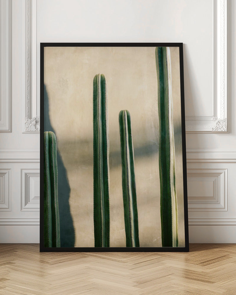 A close-up photograph of four tall, green columnar cacti standing in a row against a textured, light beige wall. Strong sunlight from the side creates bright highlights on the plants and casts a deep shadow to the left. Poster