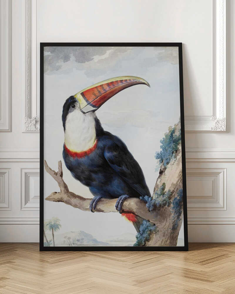 A vintage scientific illustration of a red-billed toucan perched on a tree branch, shown in profile. The bird has dark blue and black plumage, a white throat, and a massive, colorful beak with shades of red, orange, and yellow. The background features a pale, cloudy sky and a distant tropical landscape. Print