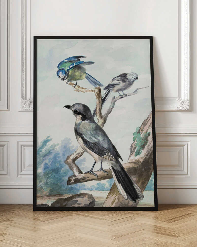 A vintage watercolor illustration of three birds perched on tree branches against a soft landscape background. A large grey shrike is in the foreground, with a smaller blue tit and a long-tailed tit on branches above it. The artwork is presented in a black frame. Decor