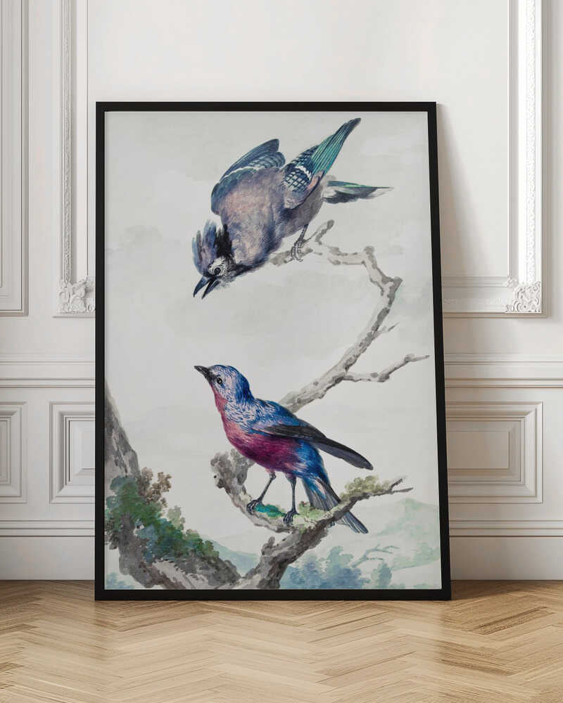 A vintage-style ornithological illustration of two birds on a dead branch against a soft, light background. On top, a blue jay with its wings slightly spread leans downward. Below, a vibrant bird with blue and magenta feathers looks upward. The artwork is presented in a simple black frame. Poster
