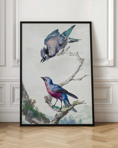 A vintage-style ornithological illustration of two birds on a dead branch against a soft, light background. On top, a blue jay with its wings slightly spread leans downward. Below, a vibrant bird with blue and magenta feathers looks upward. The artwork is presented in a simple black frame. Poster