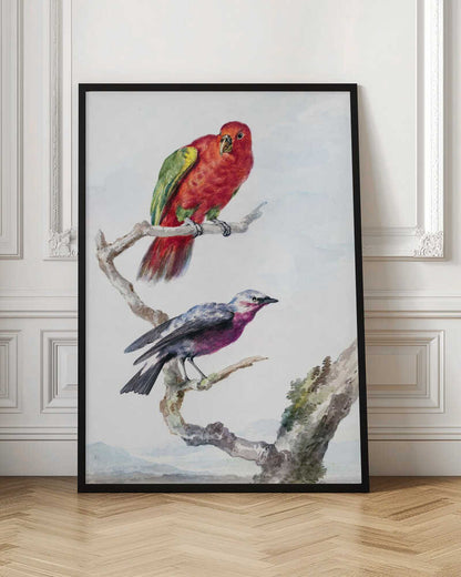 A vertical vintage watercolor illustration of two birds perched on a branch against a light background, enclosed in a black frame. The top bird is a bright red parrot with green wing accents. The lower bird is smaller, with a purple chest, a grey head, and dark wings. Print