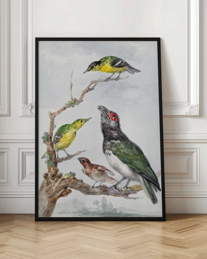 A vintage watercolor illustration of four different birds perched together on a gnarled, mossy branch against a pale, cloudy sky. The birds include two small yellow and green birds, a larger bird with dark green wings, a white belly, a black head and a red patch around its eye, and a small brown bird with a patterned chest. Print