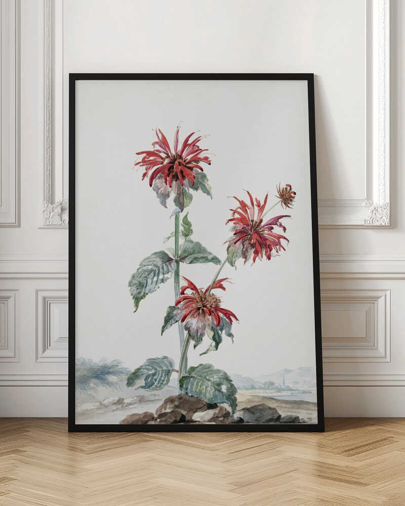 A vibrant red bergamot fruit prominently featured within a natural landscape, depicted in an art print. Artwork