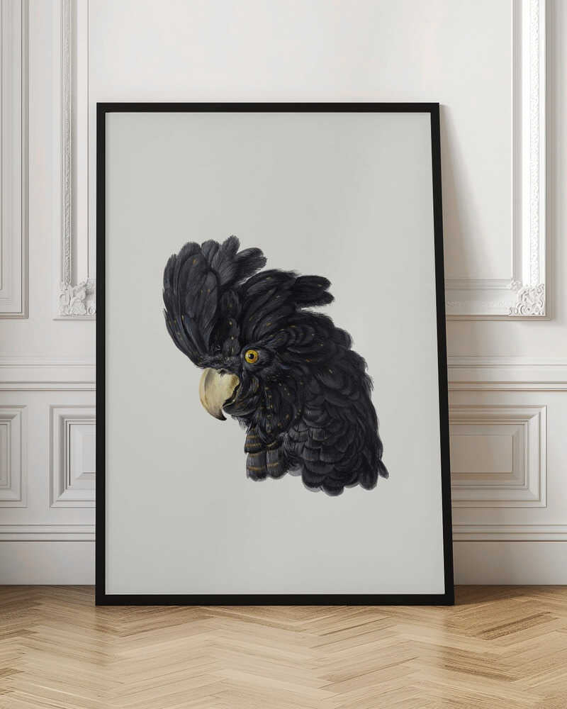 A framed art print featuring a detailed illustration of a black cockatoo's head in profile. The bird has voluminous black feathers with subtle gold flecks, a bright yellow eye, and a pale hooked beak, set against a solid off-white background. Artwork