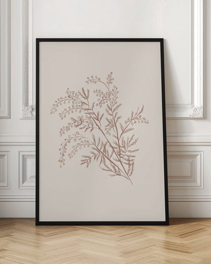 A minimalist botanical illustration of a delicate plant sprig with feathery leaves and small berries, rendered in reddish-brown ink on a light beige background, presented in a simple black frame. Print