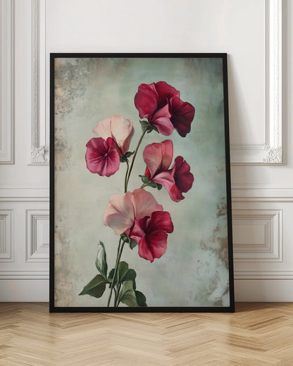 A vintage-style painting of several sweet pea flowers in shades of deep red and light pink against a textured, pale green-grey background, presented in a simple black frame. Artwork