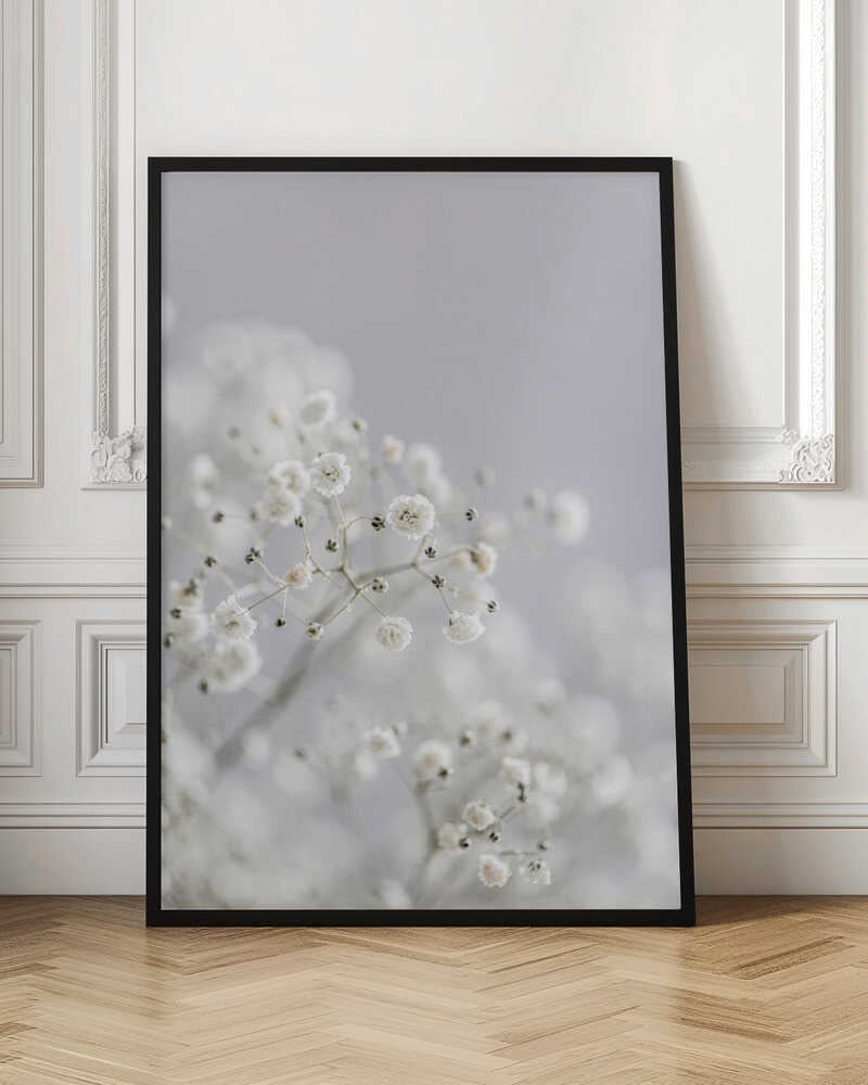 White Breath Flowers - Poster / Art Print