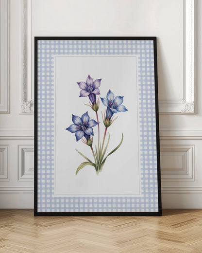 A botanical illustration of three purple and blue gentian flowers on green stems with leaves, centered on a white background. The artwork is surrounded by a light blue and white gingham mat and a thin black frame. Print
