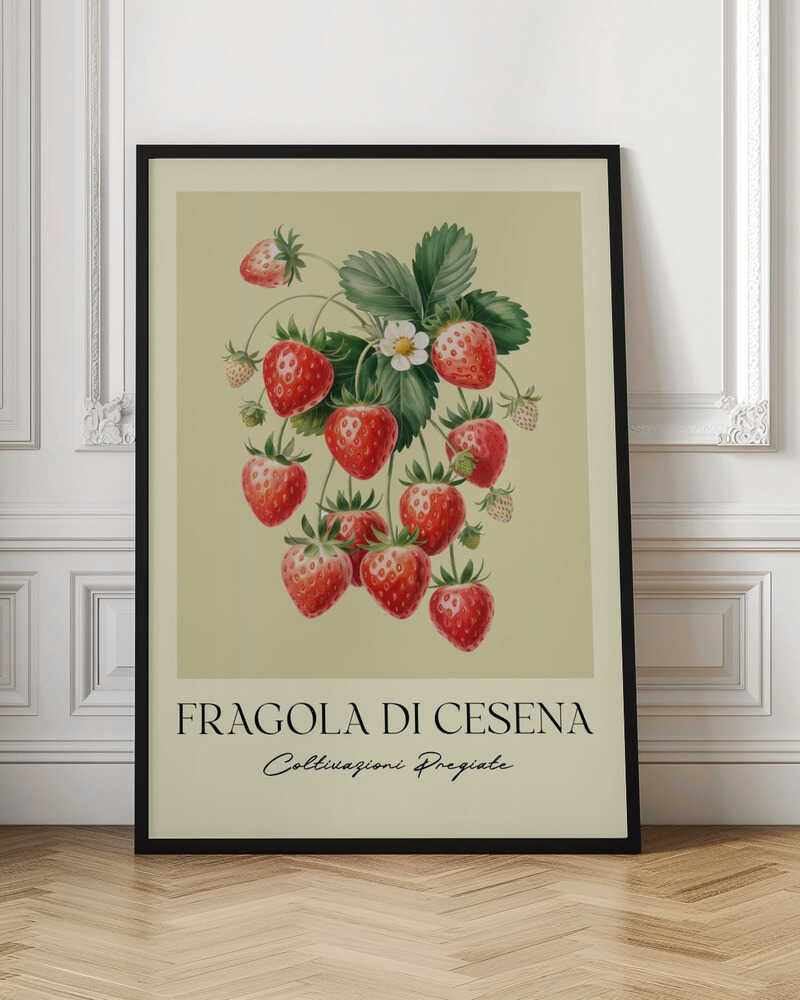 A vintage-style botanical poster featuring a detailed illustration of a strawberry plant with bright red berries, green leaves, and a small white flower. The background is a soft, pale yellow. Below the illustration, the text reads 'FRAGOLA DI CESENA' and 'Coltivazioni Pregiate' in Italian. The entire print is framed in black. Print