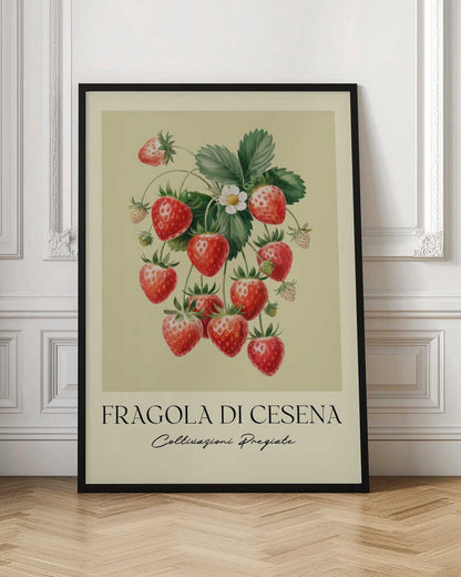 A vintage-style botanical poster featuring a detailed illustration of a strawberry plant with bright red berries, green leaves, and a small white flower. The background is a soft, pale yellow. Below the illustration, the text reads 'FRAGOLA DI CESENA' and 'Coltivazioni Pregiate' in Italian. The entire print is framed in black. Print