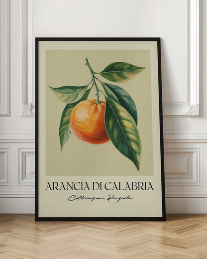 A vintage-style botanical illustration of a ripe orange hanging from a branch with lush green leaves, set against a pale yellow background. Below the image, the text 'ARANCIA DI CALABRIA' is printed in a serif font, with 'Coltivazioni Pregiate' in a script font underneath. The entire print is framed in black. Artwork