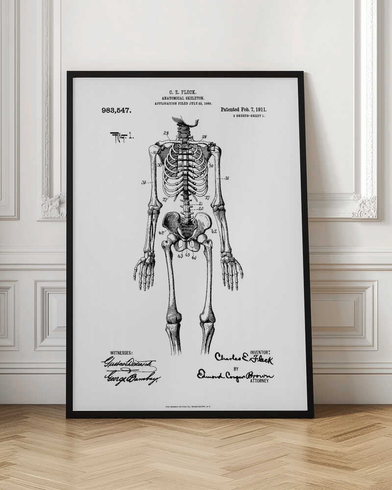 A framed black and white print of a vintage patent illustration for an anatomical skeleton by C.E. Fleck, patented February 7, 1911. The detailed drawing shows a full human skeleton from an anterior view with parts labeled with numbers, set against a light background with official patent text and signatures. Artwork