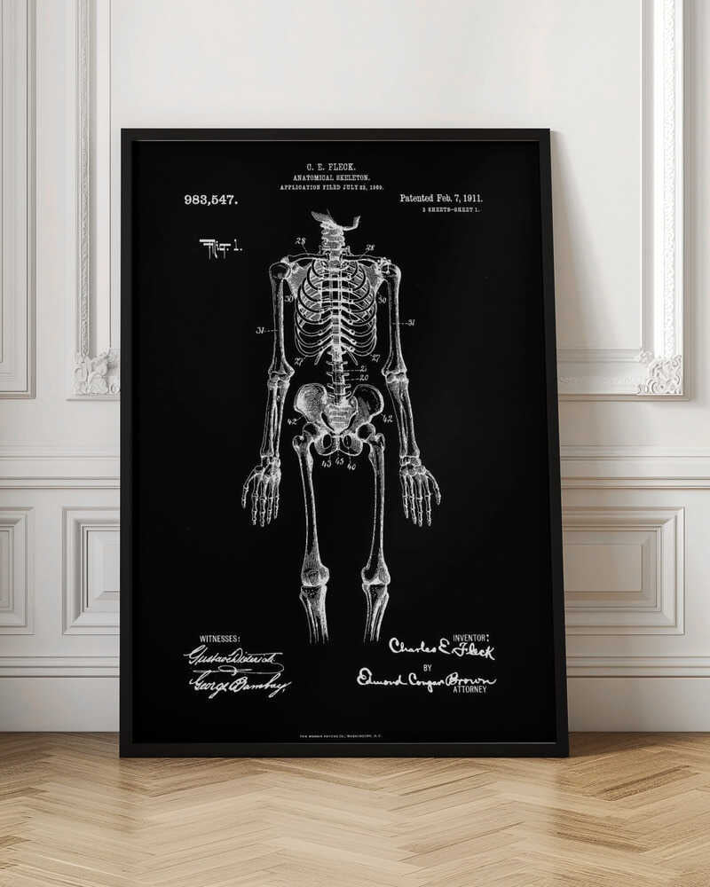 A framed, vintage-style patent illustration of a human anatomical skeleton, presented as a white drawing on a black background. The detailed skeleton is shown from the front, with text indicating the patent number, date, and inventor, C.E. Fleck. Signatures are visible at the bottom. Print