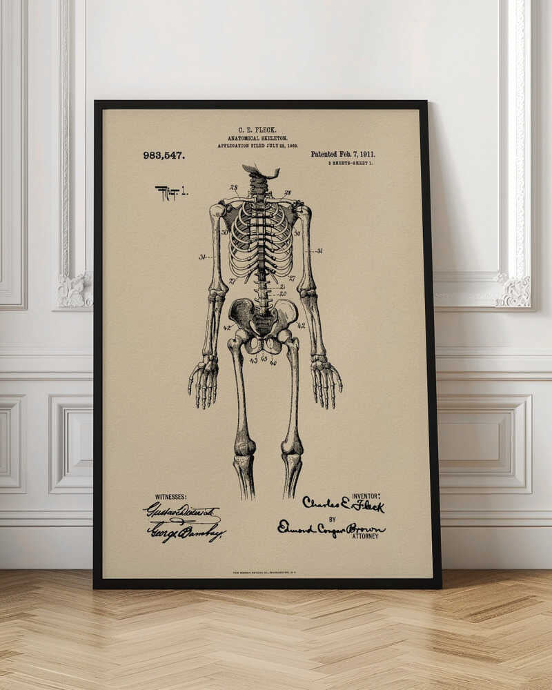 A framed vintage patent illustration of a human anatomical skeleton, printed in black ink on aged beige paper. The detailed drawing shows a full frontal view of the skeleton with numbered parts, text, and signatures in a classic patent document style. Poster