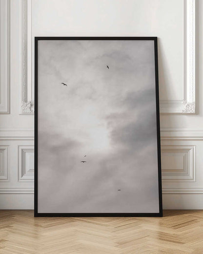 Silhouettes of birds flying across a bright, cloudy sky.