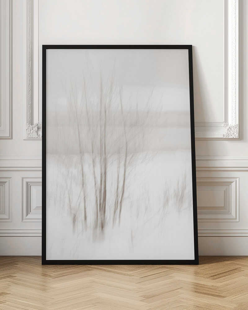 Abstract photo of bare trees in a misty, white winter landscape.