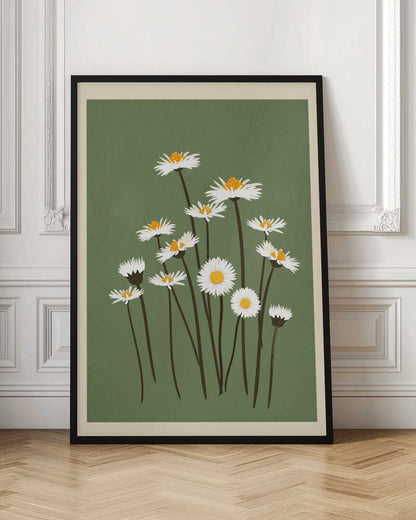 Botanical illustration of white daisy flowers with yellow centers against a sage green background.