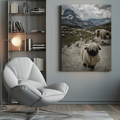 A vertical photograph of a flock of Valais Blacknose sheep on a winding path in a mountain valley, with a large, shaggy sheep in the foreground and the cloud-covered peak of the Matterhorn in the background. Print