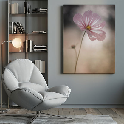 A soft-focus close-up photograph of a delicate pink and white cosmos flower on a long, thin stem. The background is artfully blurred with muted tones of beige, cream, and dark grey, creating a dreamy and serene atmosphere. Another small flower bud is faintly visible in the background. Decor