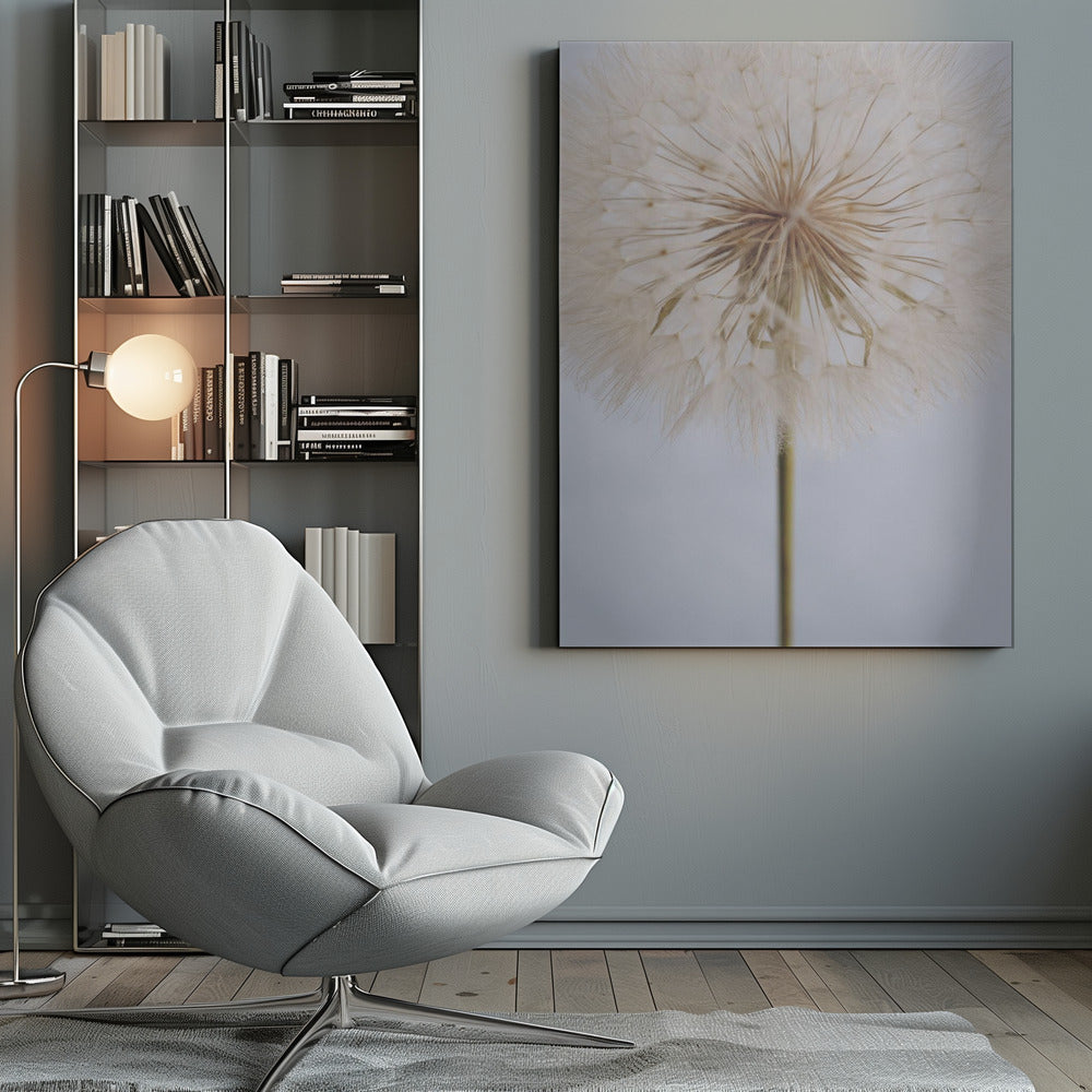 Delicate Dandelion - Poster / Art Print