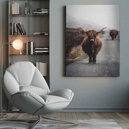A portrait photograph of a shaggy, brown Highland cow standing in the center of a narrow road, looking directly at the camera. Another Highland cow is seen further down the road in the background, with a misty, hilly landscape on either side. Wall Art