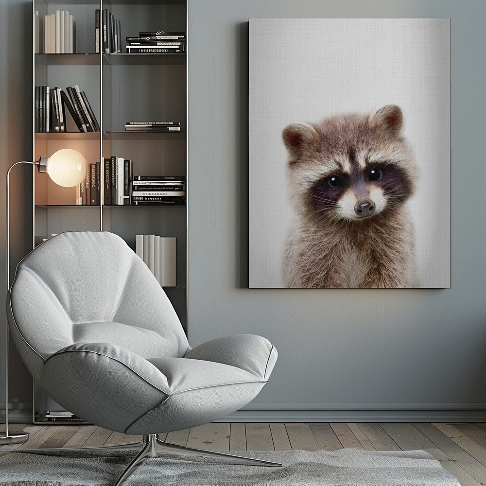 Peekaboo Raccoon - Poster / Art Print