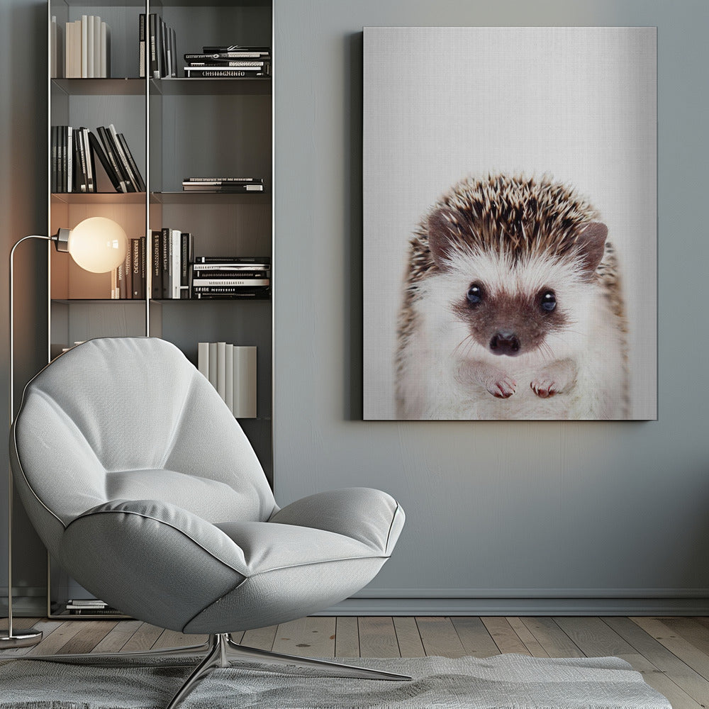 Peekaboo Hedgehog - Poster / Art Print