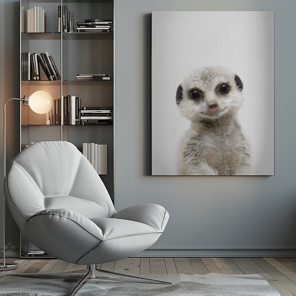 Peekaboo Baby Meerkat - Poster / Art Print